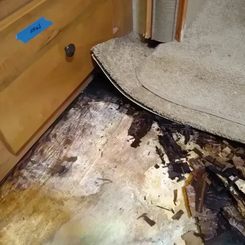 Wood Floor Water Damage in Romeoville, IL